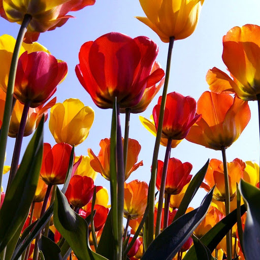 Hd-138272-ascw138272