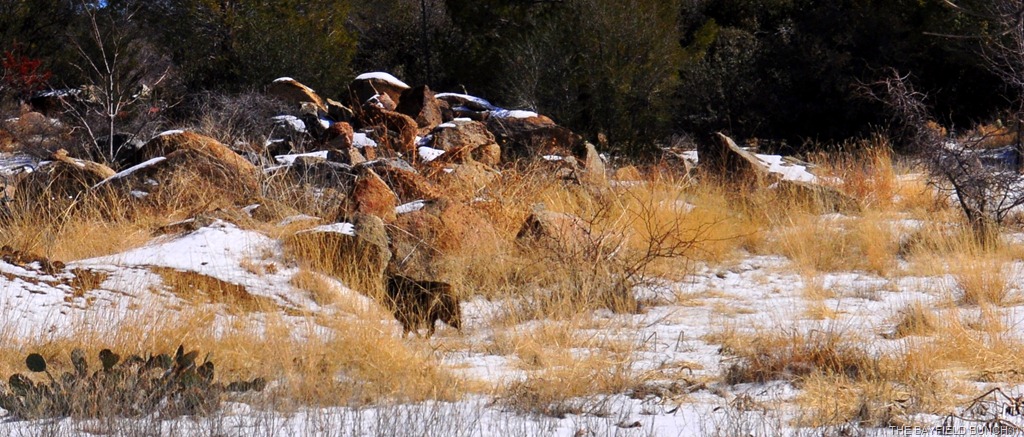 [DSC_0033%255B4%255D.jpg]