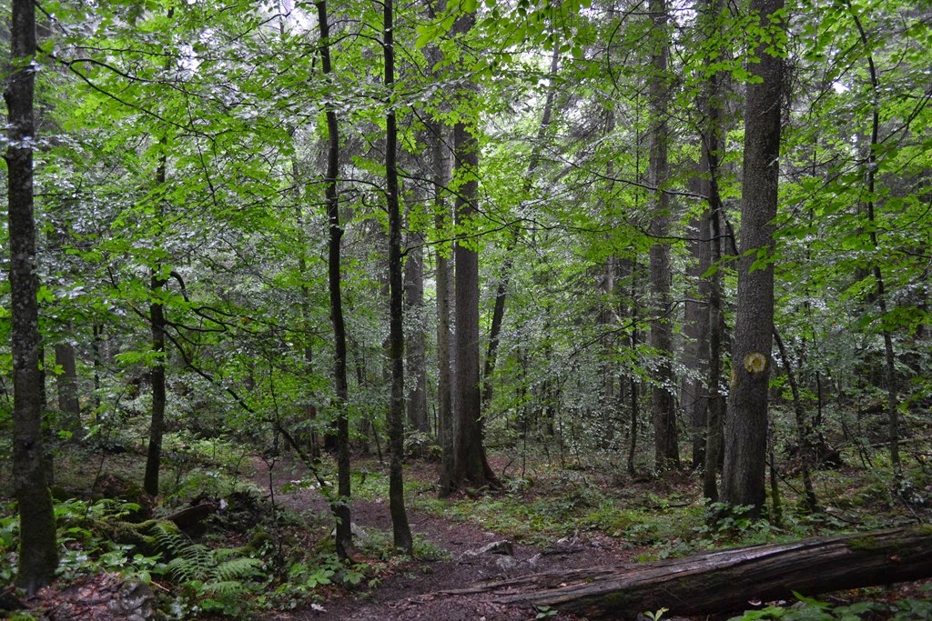 [DSC_05663.jpg]