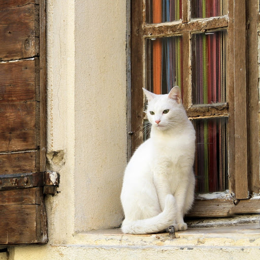 Hd-176487-ascw176487