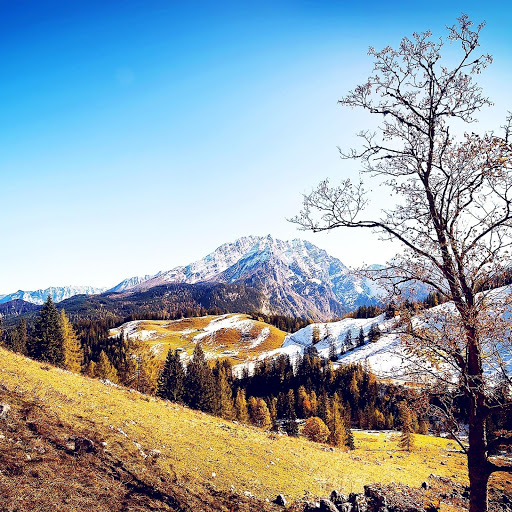 Hd-160847-ascw160847