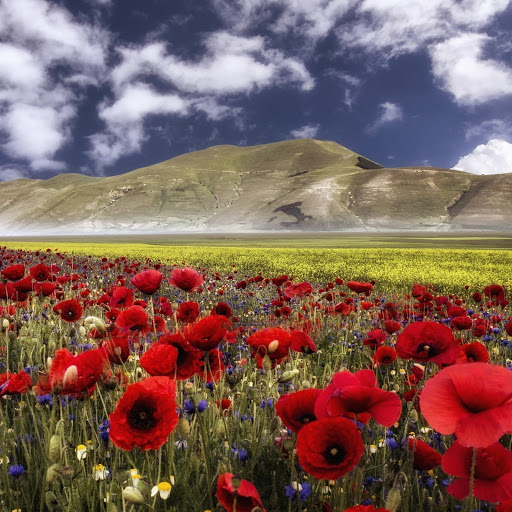 Hd-141152-ascw141152