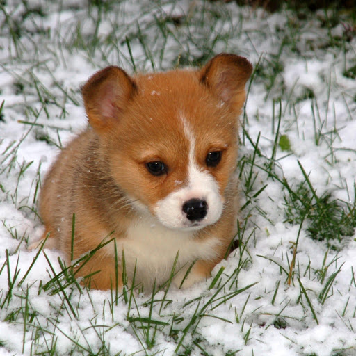 Hd-180929-ascw180929