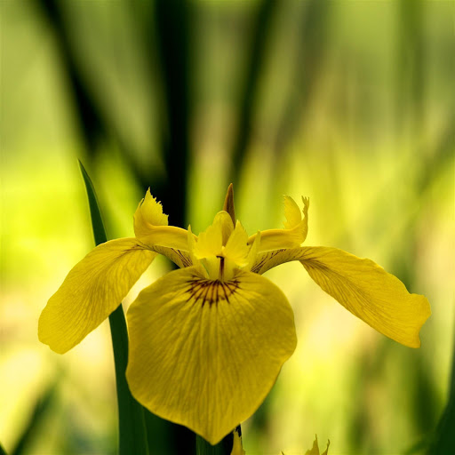 Hd-139490-ascw139490