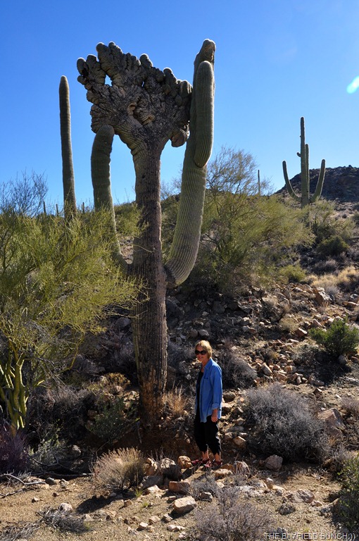 [DSC_0027%255B5%255D.jpg]