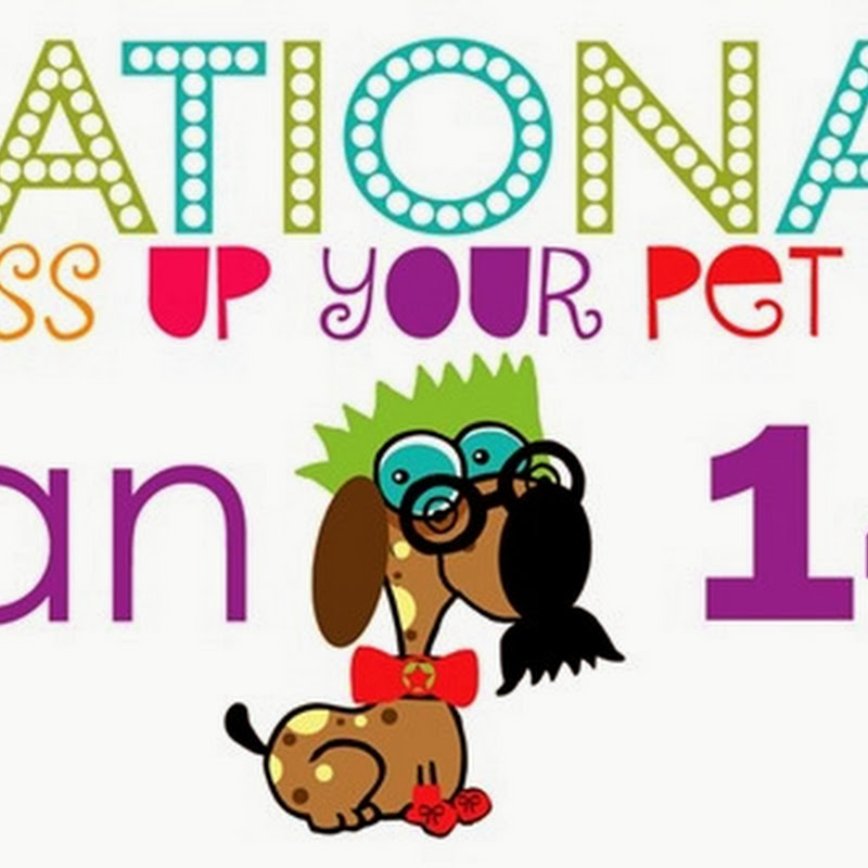 National Dress Up Your Pet Day