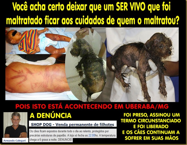 shopdog_maltrataanimais1 shopdog_maltrataanimais1