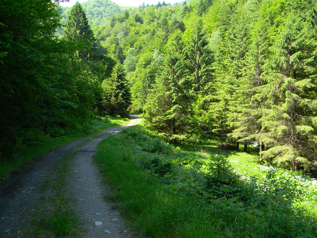 [DSCN12163.jpg]