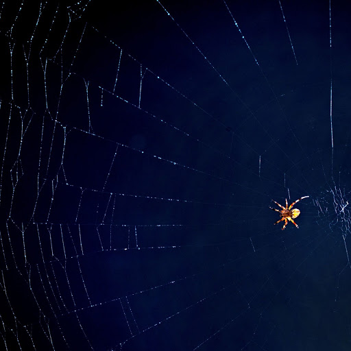 Hd-143788-ascw143788