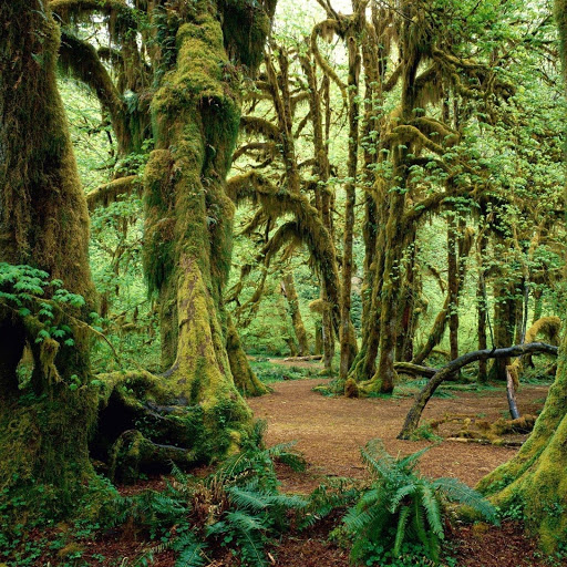 Hd-179846-ascw179846