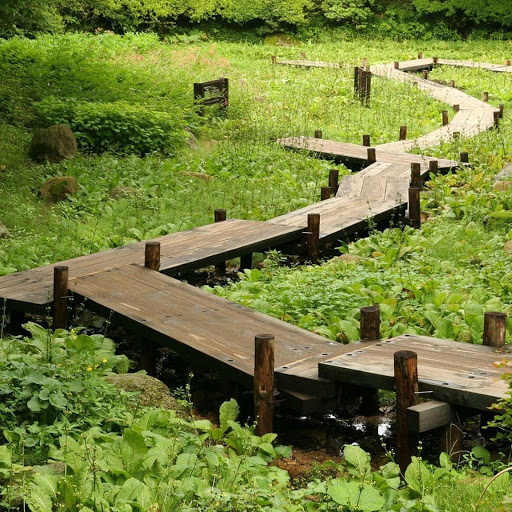 Hd-150528-ascw150528