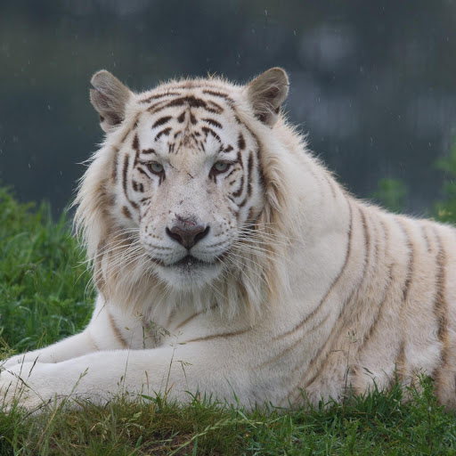 Hd-177630-ascw177630