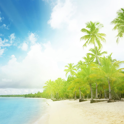 Hd-132331-ascw132331