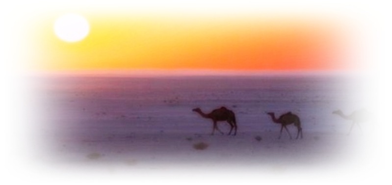 tramonto-nel-deserto
