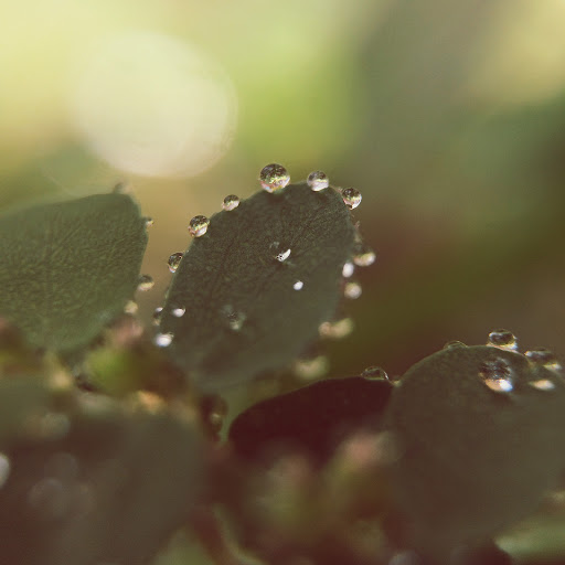 Hd-148202-ascw148202