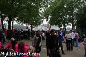 IMG_6893 IMG_6893