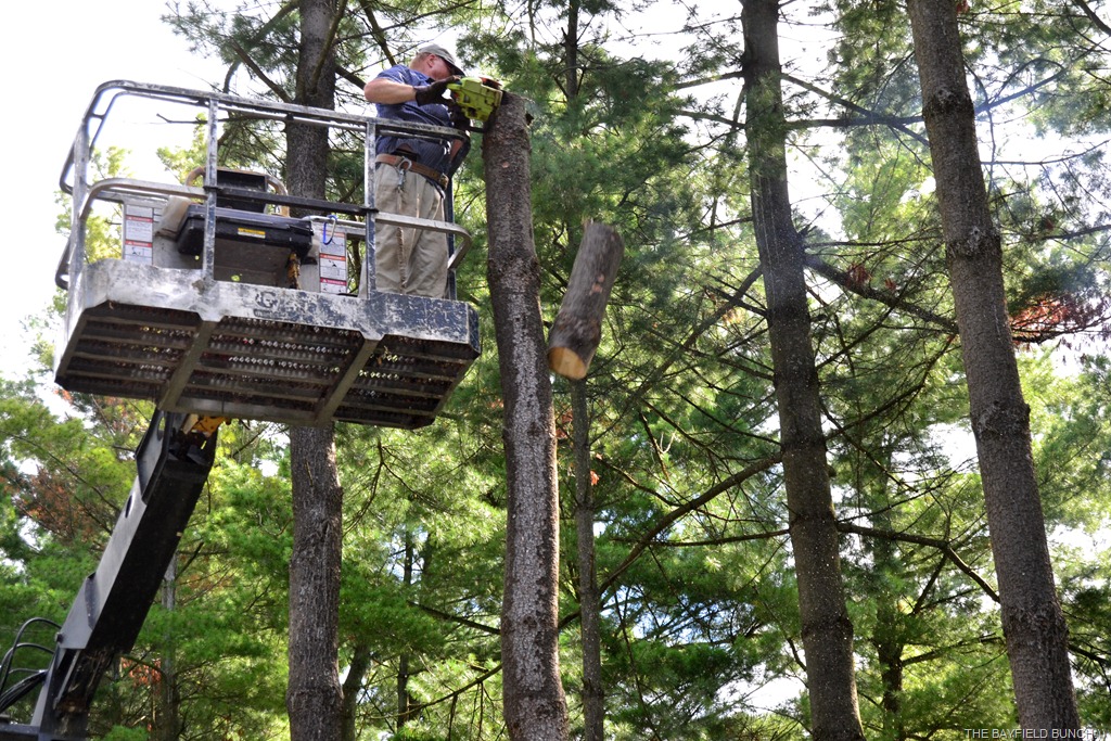 [DSC_0033%255B3%255D.jpg]