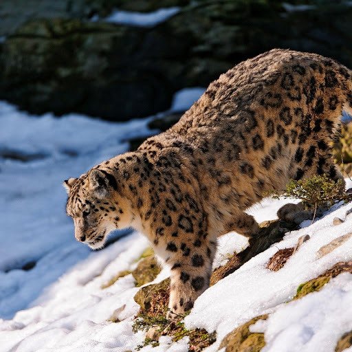 Hd-180564-ascw180564