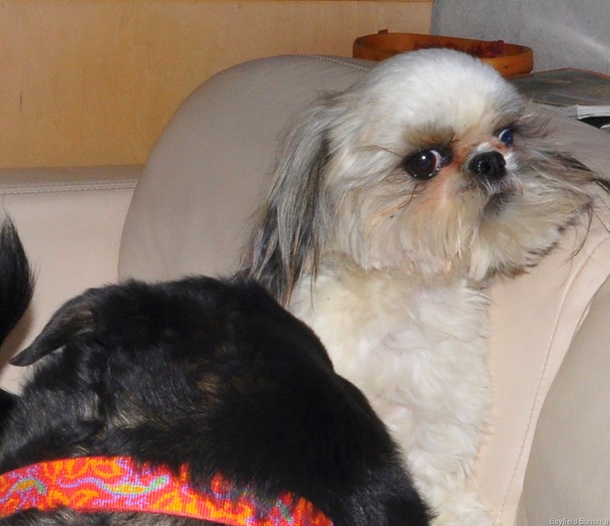 [DSC_0022%255B7%255D.jpg]