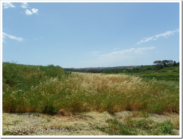 Dwejra, Nadur &  Mdina (7)