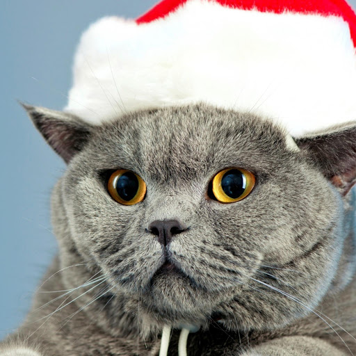 Hd-162368-ascw162368