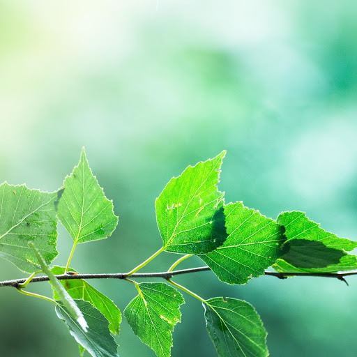 Hd-178077-ascw178077