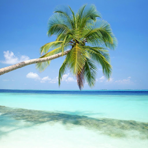 Hd-173347-ascw173347