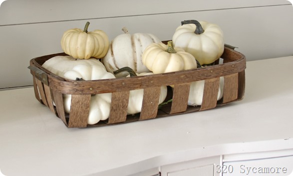white pumpkins in basket
