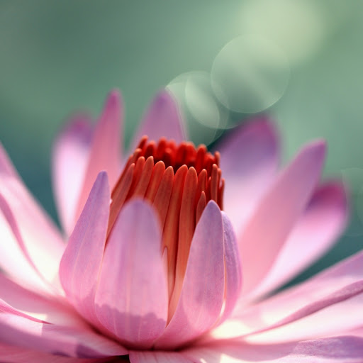 Hd-146029-ascw146029