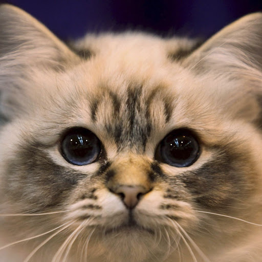 Hd-141841-ascw141841