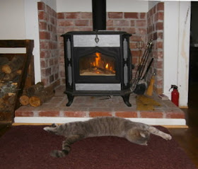 Riley sprawled in front of the wood heat stove, warming his belly.