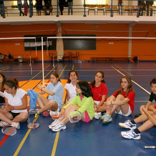 Núcleo de Badminton da Escola Secundária de Carregal do Sal conquista o
1º lugar no Torneio de São Pedro de Alva