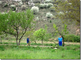 Hortilla de los Borja