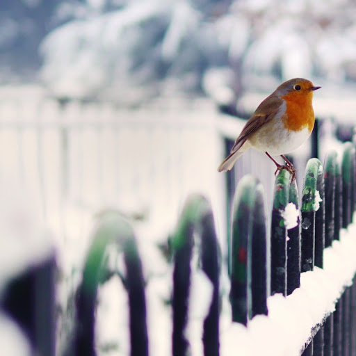 Hd-145388-ascw145388