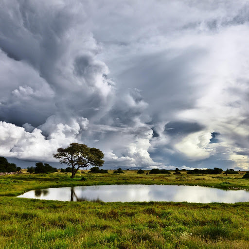 Hd-145599-ascw145599