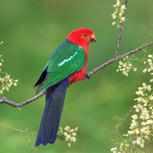 Hd-178904-ascw178904