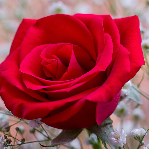 Hd-143948-ascw143948