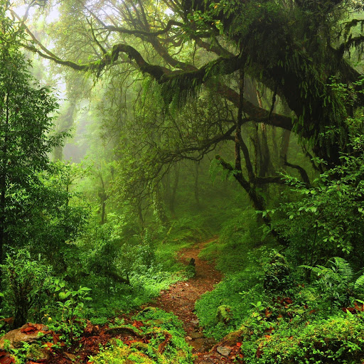 Hd-174695-ascw174695