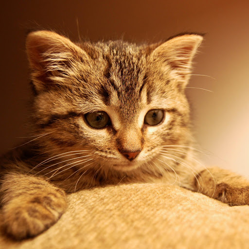 Hd-174234-ascw174234