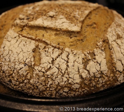 seeded-semolina-spelt-loaf_141