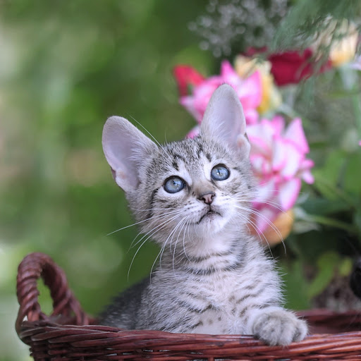 Hd-164381-ascw164381