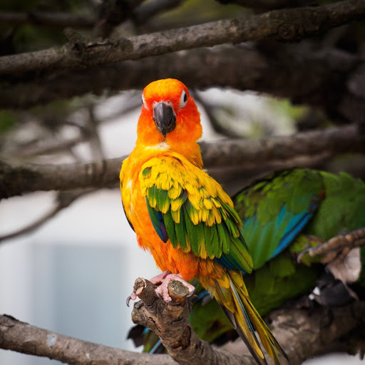 Hd-185753-ascw185753