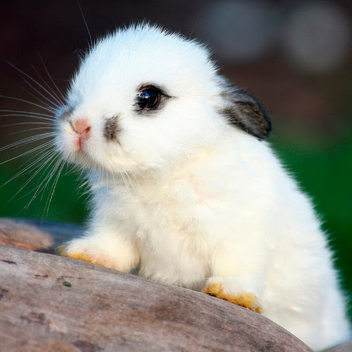 Hd-180389-ascw180389