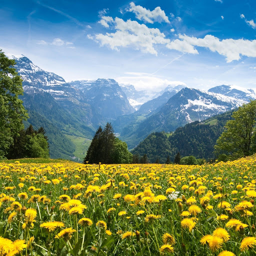 Hd-144284-ascw144284