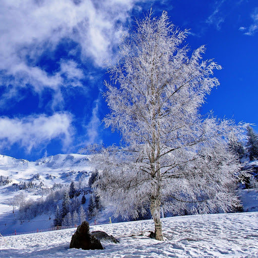 Hd-150348-ascw150348