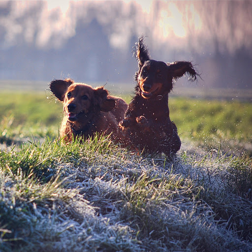 Hd-186172-ascw186172