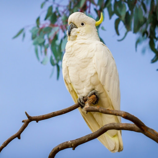 Hd-141120-ascw141120