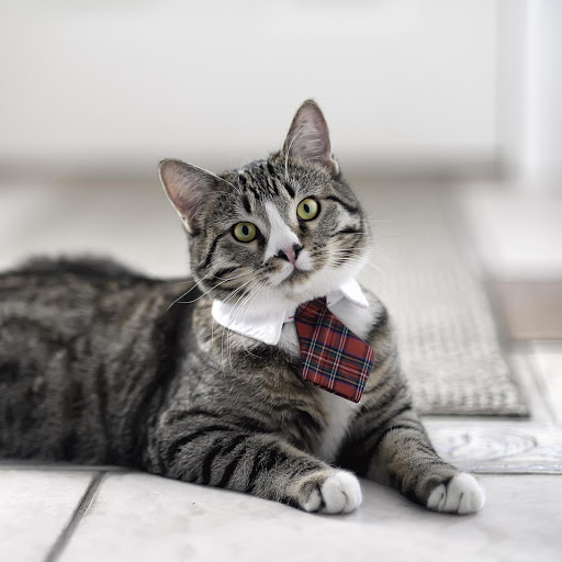 Hd-157947-ascw157947