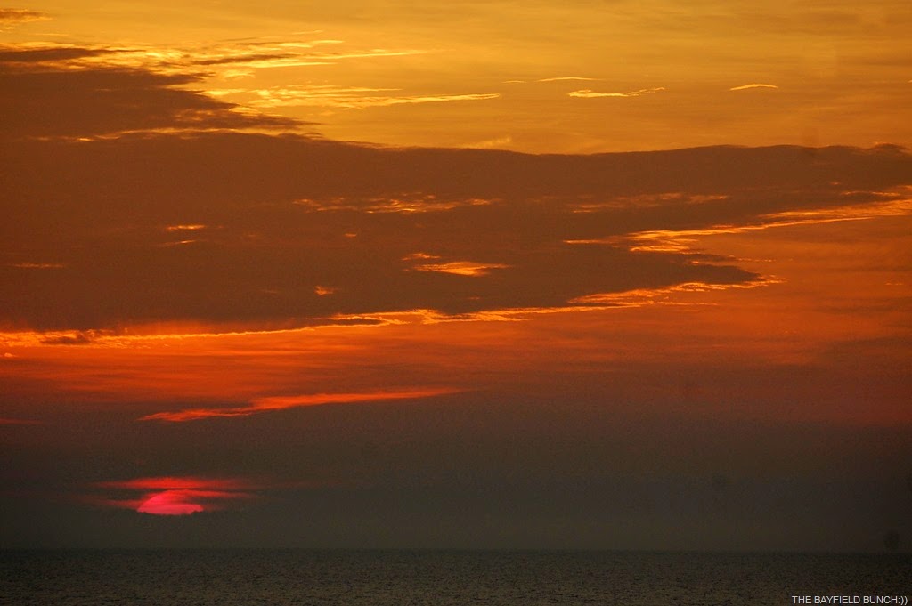 [DSC_7947-1%255B4%255D.jpg]