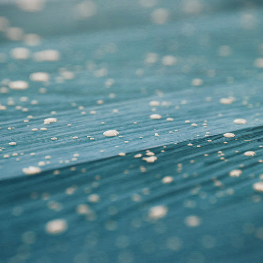 Hd-149012-ascw149012